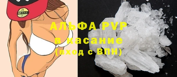 ГАЛЛЮЦИНОГЕННЫЕ ГРИБЫ Карпинск