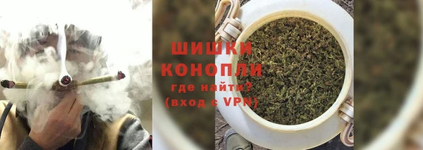 ГАЛЛЮЦИНОГЕННЫЕ ГРИБЫ Карпинск