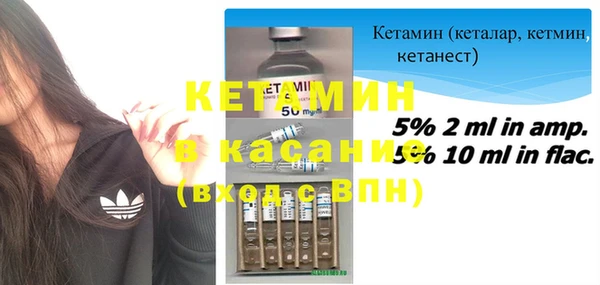 прущие грибы Карталы
