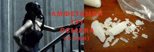 прущие грибы Карталы