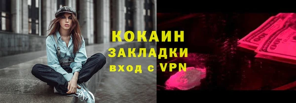 прущие грибы Карталы
