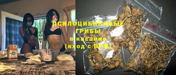 прущие грибы Карталы