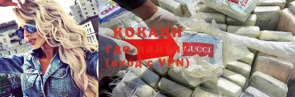 прущие грибы Карталы