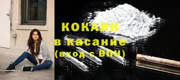 прущие грибы Карталы