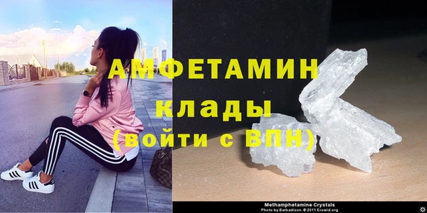 прущие грибы Карталы