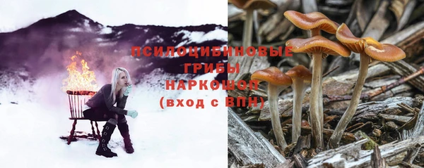 прущие грибы Карталы