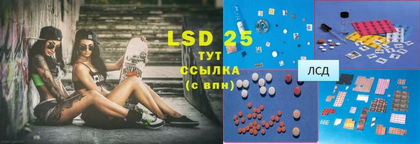 ГАЛЛЮЦИНОГЕННЫЕ ГРИБЫ Карпинск