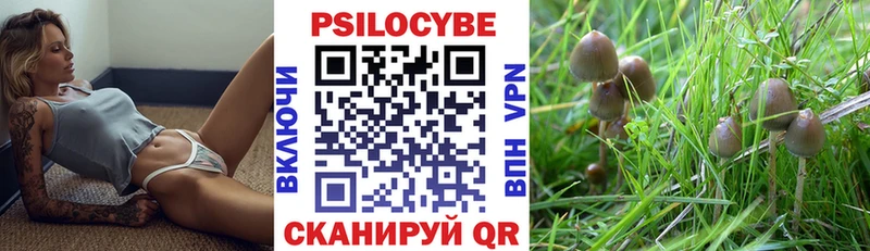 Галлюциногенные грибы Psilocybine cubensis  Купить  Зеленогорск 